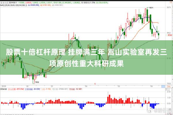 股票十倍杠杆原理 挂牌满三年 嵩山实验室再发三项原创性重大科研成果