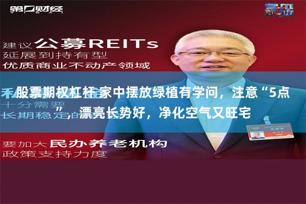 股票期权杠杆 家中摆放绿植有学问，注意“5点”，漂亮长势好，净化空气又旺宅