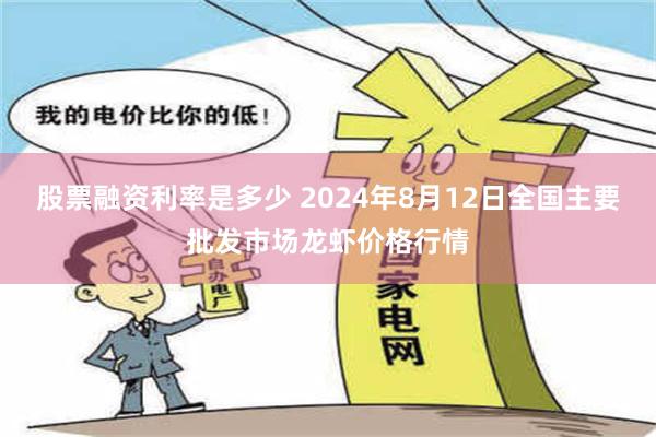 股票融资利率是多少 2024年8月12日全国主要批发市场龙虾价格行情